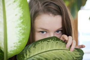 Original 5616 px/ 3744 px