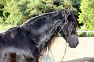 Original 5760 px/ 3840 px