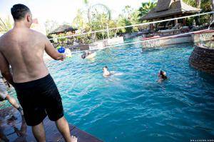 Original 2495 px/ 1663 px