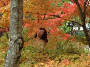 Original 680 px/ 510 px