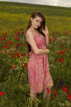 Original 3456 px/ 5184 px