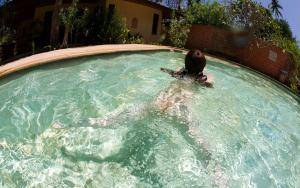 Original 1280 px/ 804 px