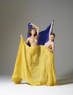 Original 7684 px/ 10000 px