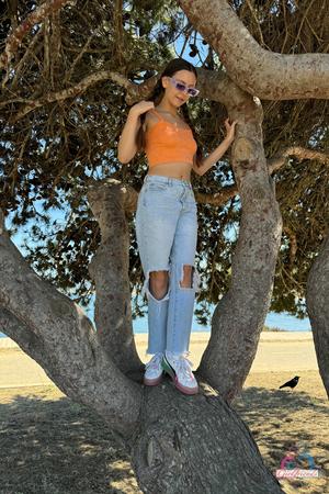 Original 2000 px/ 3000 px