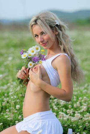 Original 854 px/ 1280 px