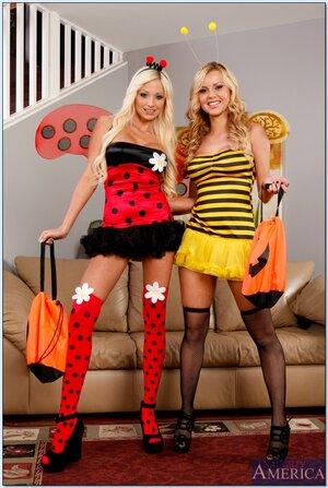 Original 671 px/ 1000 px