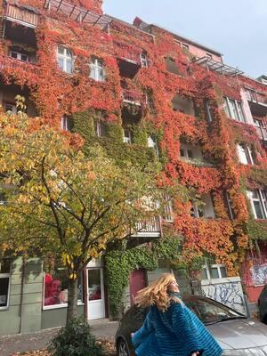 Original 960 px/ 1280 px