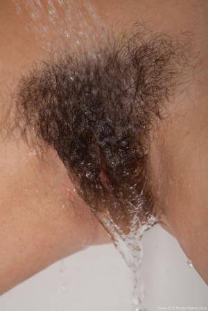 Original 854 px/ 1280 px