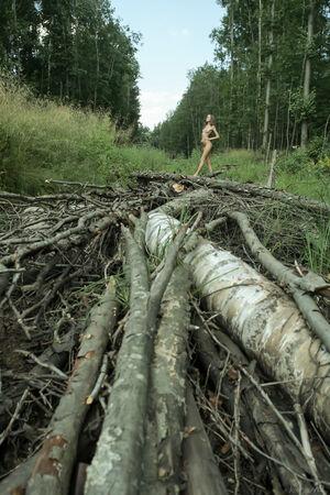 Original 2592 px/ 3888 px