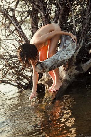 Original 1365 px/ 2048 px