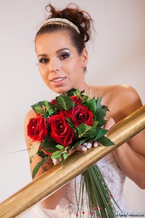 Original 1067 px/ 1600 px