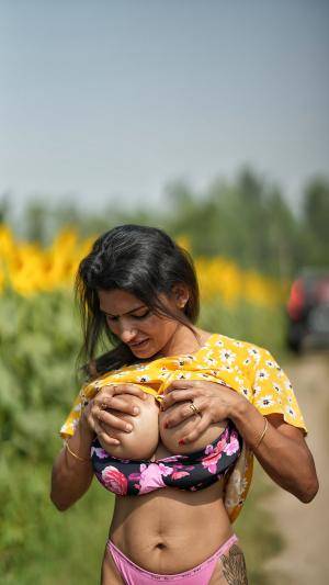 Original 2303 px/ 4096 px