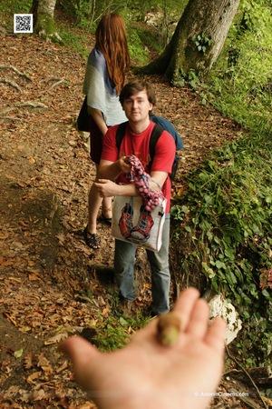 Original 2336 px/ 3504 px