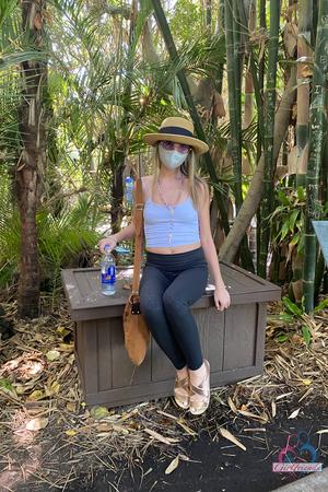 Original 2000 px/ 3000 px