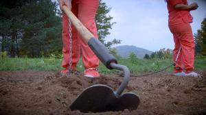 Original 1200 px/ 675 px