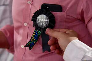 Original 2491 px/ 1663 px