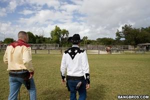 Original 800 px/ 533 px