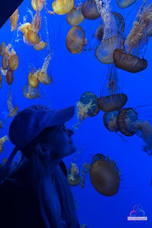 Original 2000 px/ 3000 px