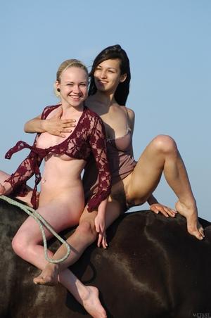 Original 1360 px/ 2048 px