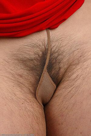 Original 684 px/ 1024 px