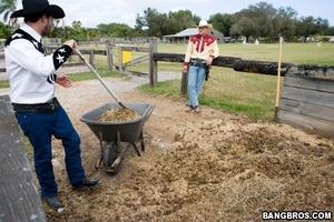 Original 800 px/ 533 px