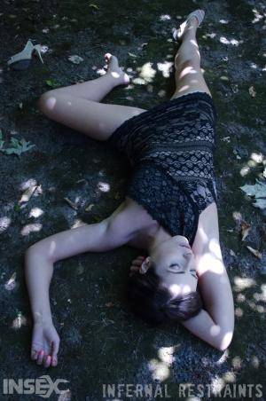 Original 795 px/ 1200 px