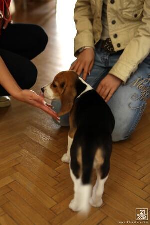 Original 3744 px/ 5616 px