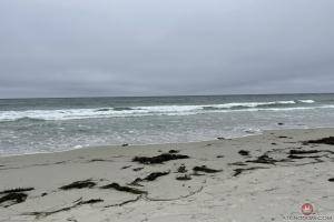 Original 3000 px/ 2000 px