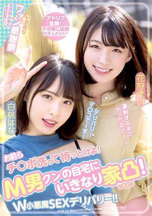 Original 520 px/ 740 px