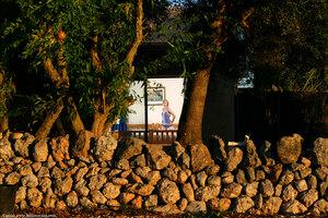 Original 1648 px/ 1098 px