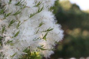 Original 1280 px/ 853 px