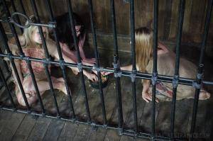 Original 1200 px/ 796 px