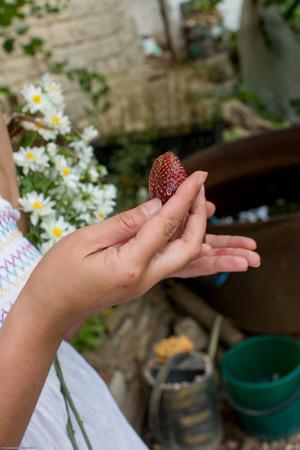 Original 2000 px/ 3000 px