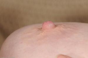 Original 2400 px/ 1594 px