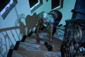 Original 2491 px/ 1663 px