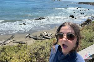 Original 3000 px/ 2000 px