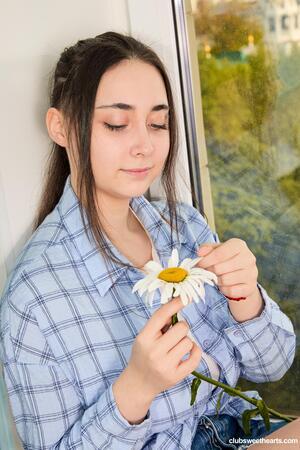 Original 4000 px/ 6000 px