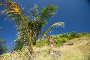 Original 2048 px/ 1365 px