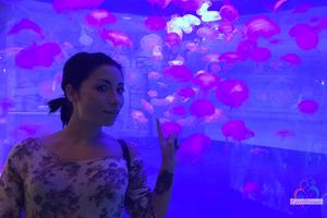 Original 3000 px/ 2000 px