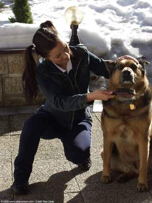 Original 1200 px/ 1600 px