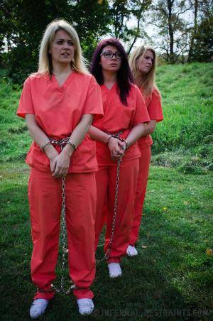 Original 795 px/ 1200 px