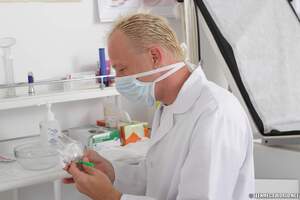 Original 2500 px/ 1667 px