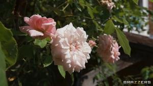 Original 1920 px/ 1080 px