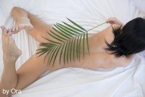 Original 5000 px/ 3334 px