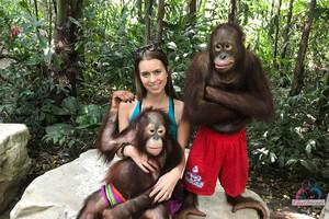 Original 3000 px/ 2000 px