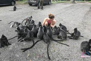 Original 3000 px/ 2000 px