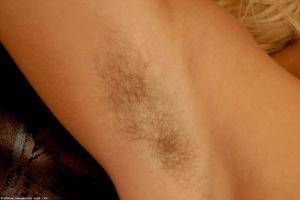 Original 1280 px/ 857 px