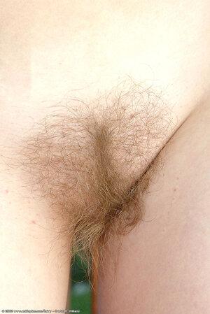 Original 684 px/ 1024 px