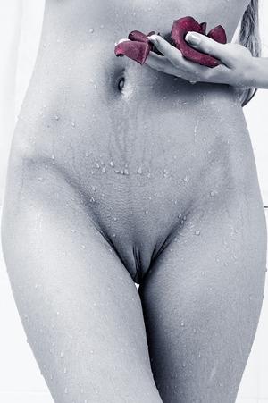 Original 525 px/ 790 px