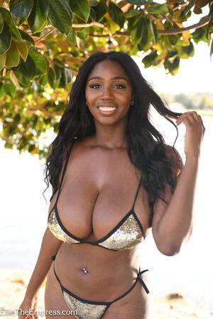 Original 1365 px/ 2048 px